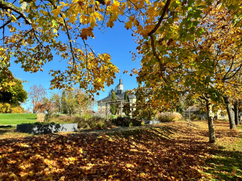 4 Tage Herbst Auszeit