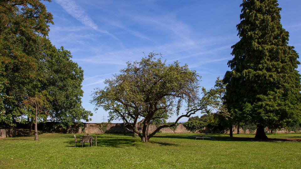Geländes des Ayurveda Garden in Bad Rappenau