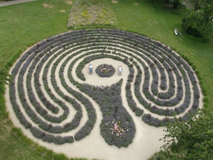 Lavendel-Salbei-Labyrinth