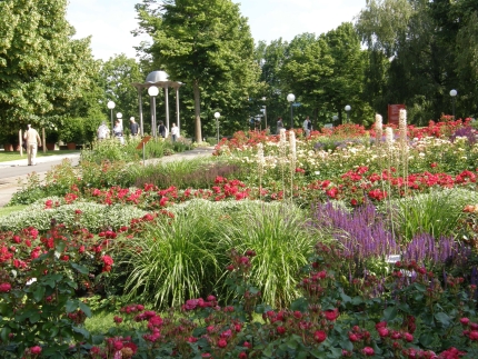 Rosengarten